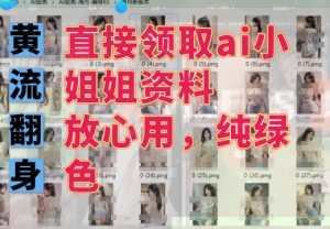 1.ai资源领取及必要操作-猫哥副业